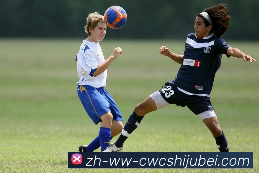 App Interface Preview