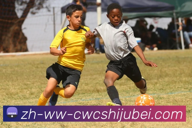 世界杯买球APP 封面图