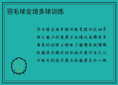 羽毛球全场多球训练